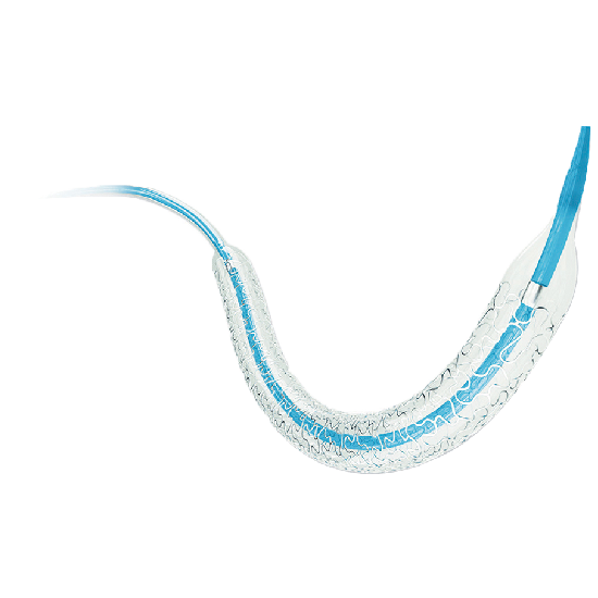 Partner® Sirolimus-eluting Coronary Stent System