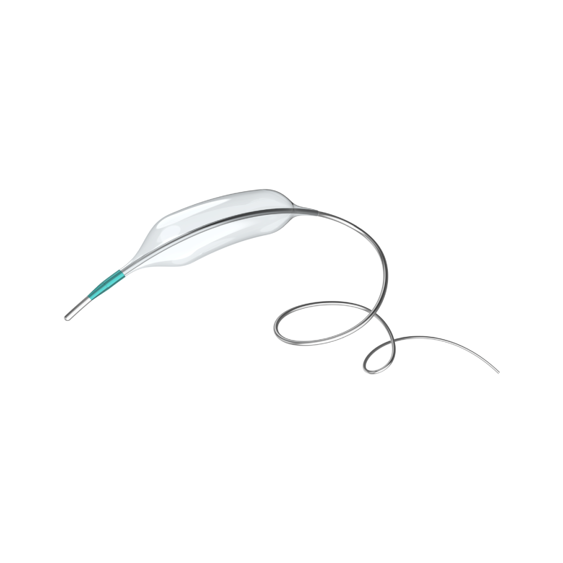 RECATCHOR Exchange Device Dilatation Catheter