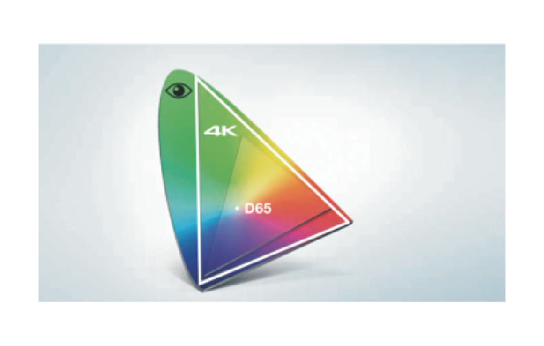 action The AutoFocus and Automatic Scene Recognition technologies work in synergy to deliver consist...