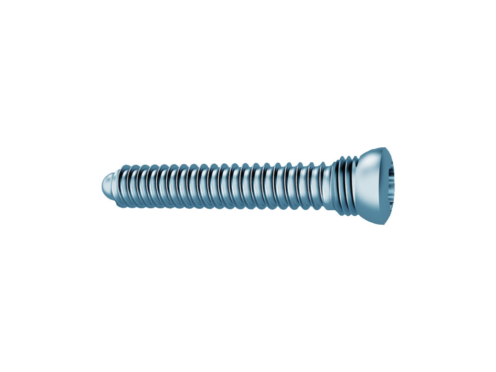 Locking Screw