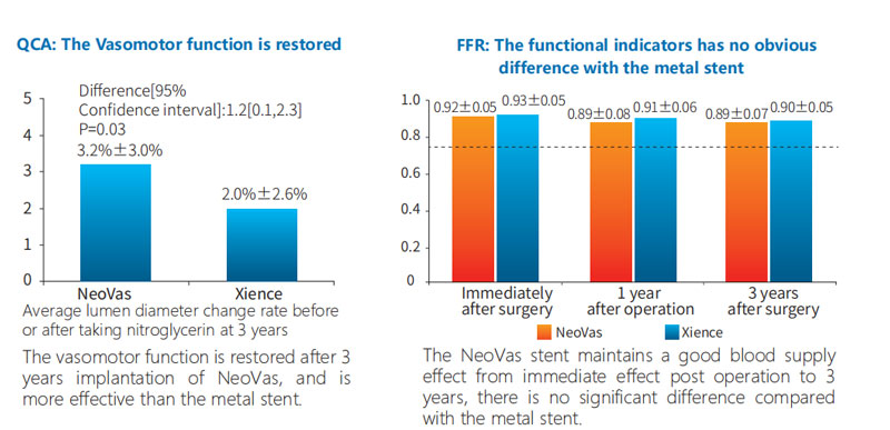 4.The-Imaging-study-of-the-NeoVas-Subgroup.jpg