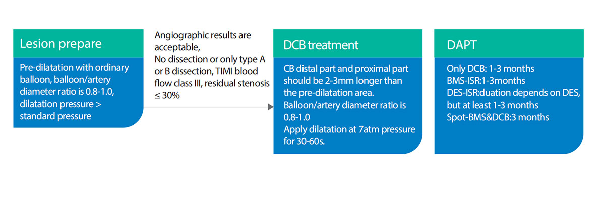 Coronary Balloon Catheter