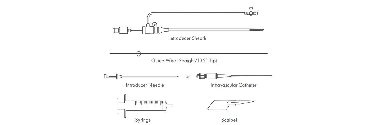 Brilliant Introducer Kit Details