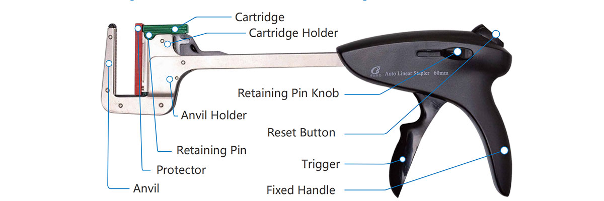 Disposable Auto Linear Stapler